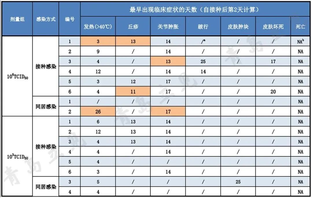 要闻：基因I型非洲猪瘟病毒入侵我国，青岛立见助力精准诊断